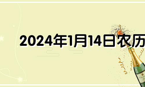 2024年1月14日农历 2024年1月1日出生