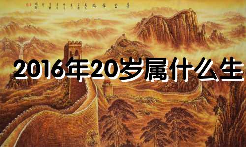 2016年20岁属什么生肖 2016年26岁属什么生肖