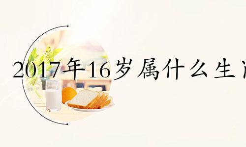 2017年16岁属什么生肖 2017年出生的属什么生肖属相