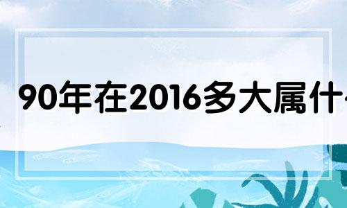 90年在2016多大属什么 2016年19岁属什么生肖