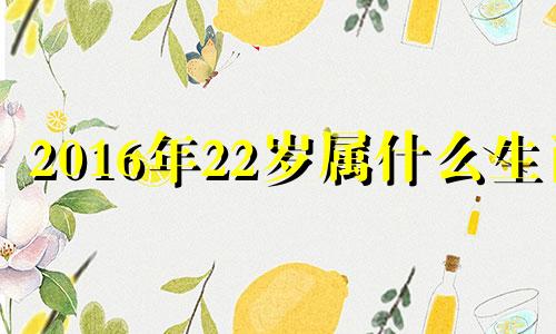 2016年22岁属什么生肖 2016多大属啥