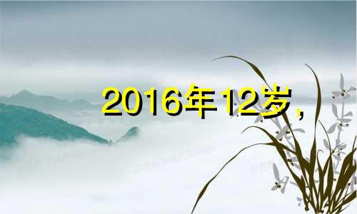 2016年12岁, 他是在几年生的