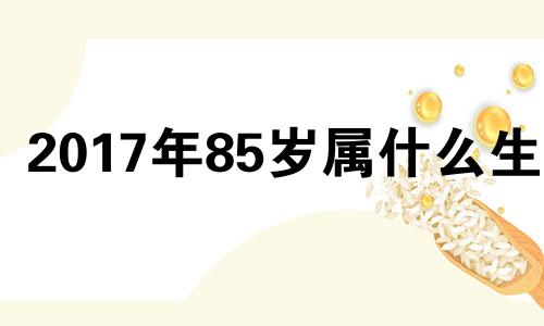 2017年85岁属什么生肖 857年是什么生肖