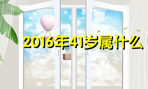 2016年41岁属什么 2016年49岁是哪一年出生