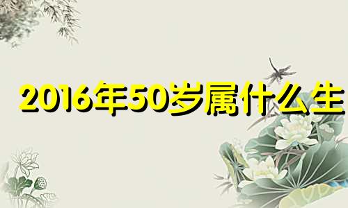 2016年50岁属什么生肖 2016年出生属什么?多少岁?