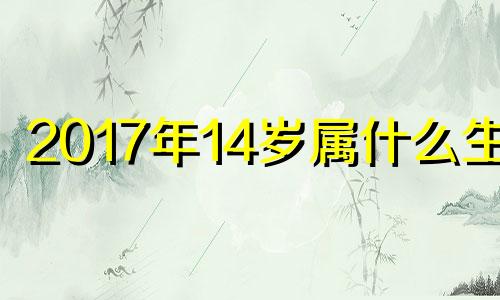 2017年14岁属什么生肖 17年小孩属什么的