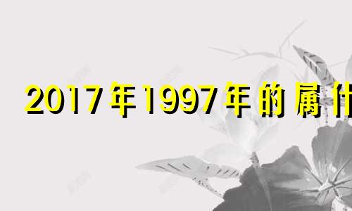 2017年1997年的属什么 2017年90岁什么生肖