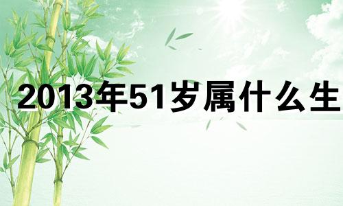 2013年51岁属什么生肖 2013年属什么生肖多少岁了