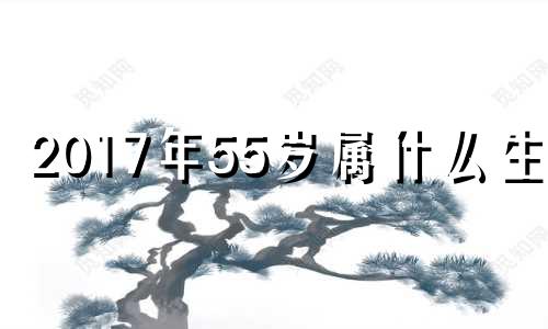 2017年55岁属什么生肖 2018年58岁属什么