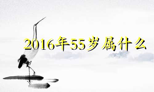 2016年55岁属什么 2016年出生什么属相