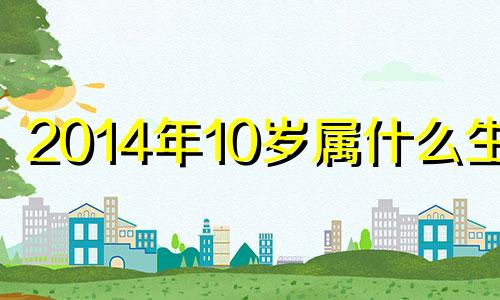 2014年10岁属什么生肖 2014年10月生今年几岁