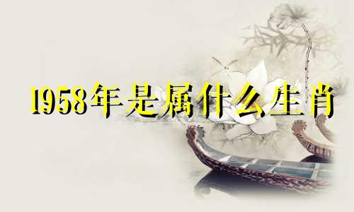 l958年是属什么生肖 1995到2018多少岁