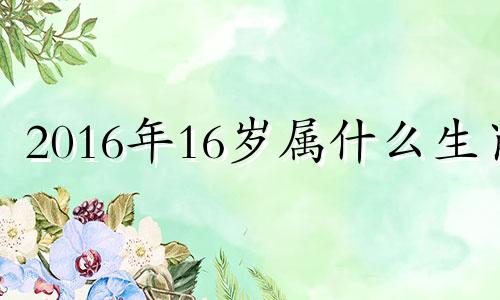 2016年16岁属什么生肖 1016年出生属什么