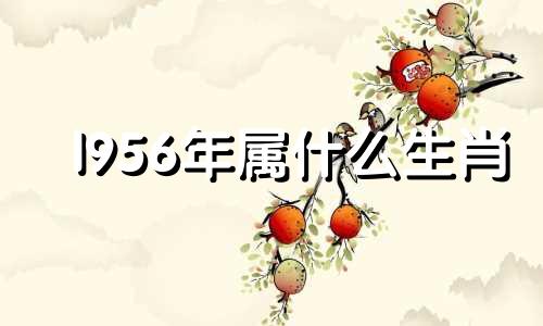 l956年属什么生肖 1995到2016年一共几年?