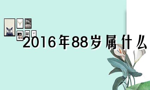 2016年88岁属什么 1980年到2016年多少岁?