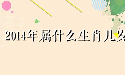 2014年属什么生肖几岁 2014年出生的小朋友属什么