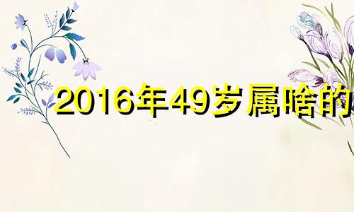 2016年49岁属啥的 2016年属什么生肖属相