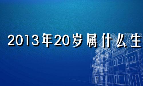 2013年20岁属什么生肖 2013年属什么生肖几岁了