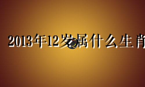 2013年12岁属什么生肖 13年12月出生的今年几岁