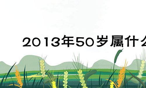 2013年50岁属什么 2013年属什么生肖属相五行