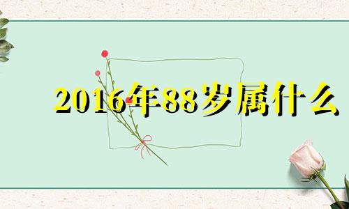 2016年88岁属什么 2016年生的人属什么