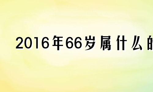 2016年66岁属什么的 202066岁属什么生肖的