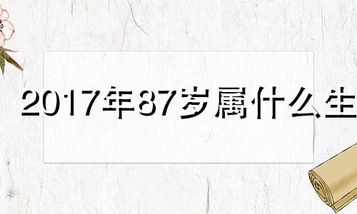 2017年87岁属什么生肖 1987年属兔2017年的命运