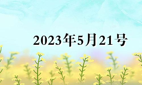 2023年5月21号 2021年5月23十二生肖运势