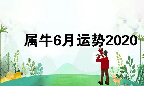 属牛6月运势2020 属牛人6月运势