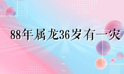 88年属龙36岁有一灾 属龙2024年运势及运程_2024年属龙人的全年运势