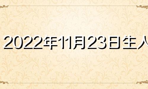 2022年11月23日生人命运 2023年11月23日农历