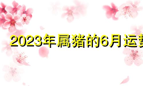 2023年属猪的6月运势 属猪六月运势