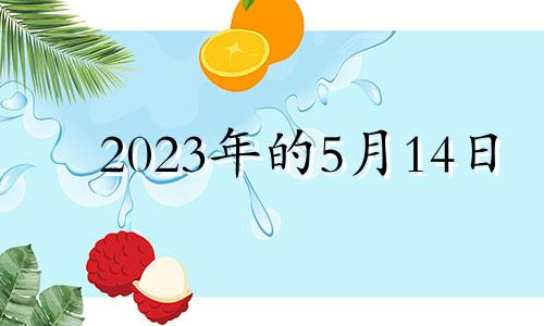 2023年的5月14日 2023年5月属什么生肖