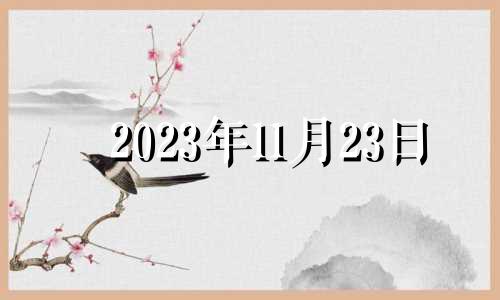 2023年11月23日 2023年11月21日黄历