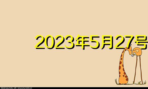 2023年5月27号 2021年5月23日生肖运