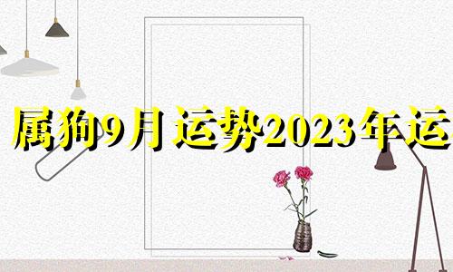 属狗9月运势2023年运程 属狗2021年9月运势及运程每月运程