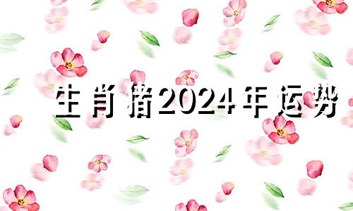 生肖猪2024年运势 属猪2024