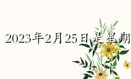 2023年2月25日是星期几 2023年2月属什么生肖