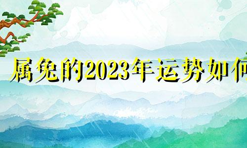 属兔的2023年运势如何 女性