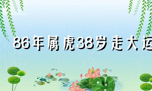 86年属虎38岁走大运 1986年属虎2023年每月运势