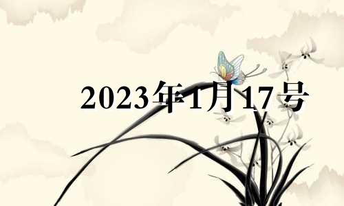 2023年1月17号 2021年1月13日生肖运