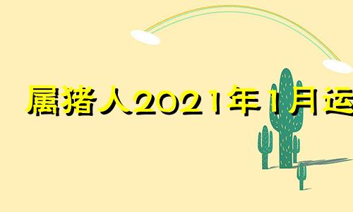 属猪人2021年1月运势 属猪人2021年一月财运