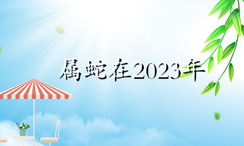 属蛇在2023年 属蛇的2023年适合生子吗