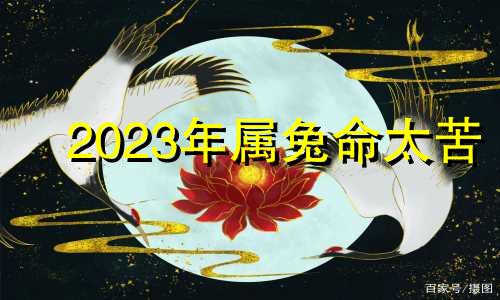 2023年属兔命太苦 2023年属兔人一生命运