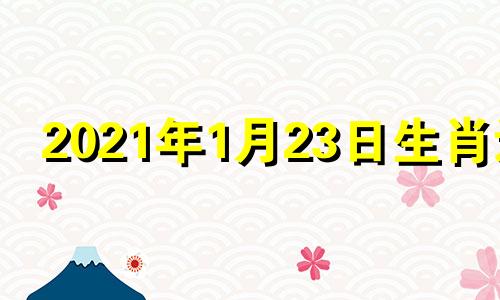 2021年1月23日生肖运 1月23日生肖运势早知道