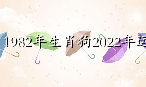 1982年生肖狗2022年运势 1982年狗年2022年的运势