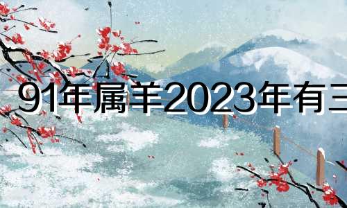 91年属羊2023年有三喜 2023年属羊好不好