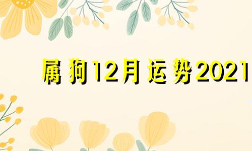 属狗12月运势2021 属狗12月运势2021年