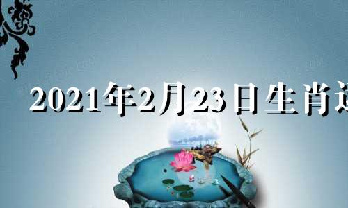 2021年2月23日生肖运 2023年2月26日