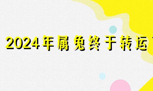 2024年属兔终于转运了 1951年属兔男的2021年运势